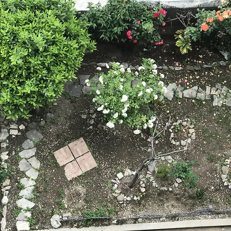 Tortosa Blue بيت ضيافة سبليت