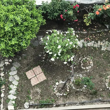 Tortosa Blue בית הארחה 3*